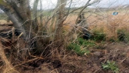 Mühreyle ördek avlayan avcıya 10 bin lira ceza