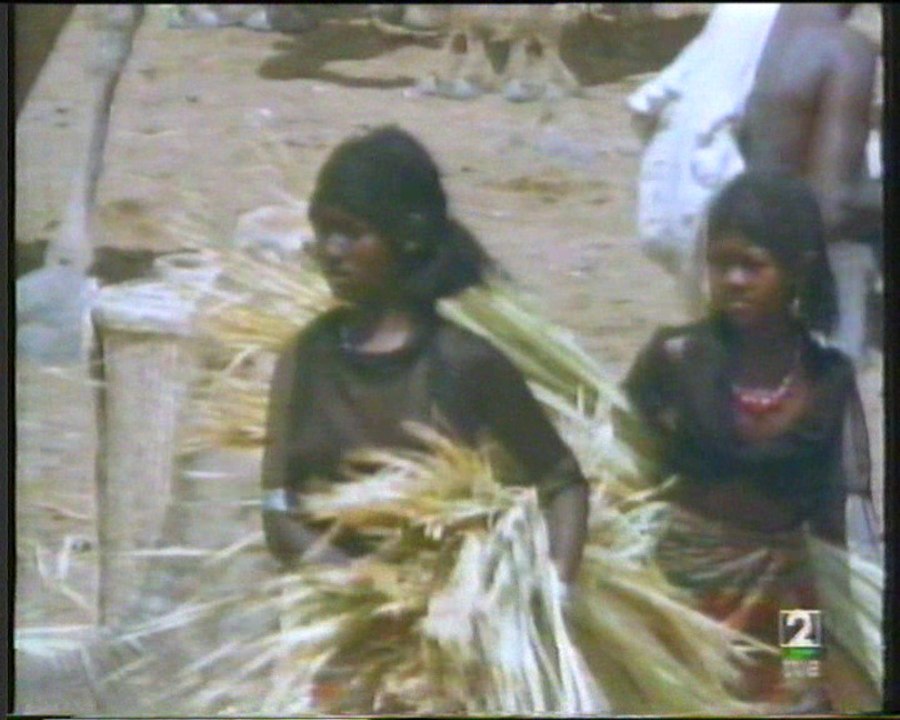 Documental Mujeres Afar