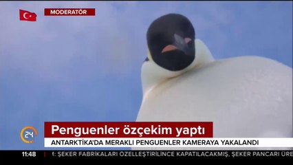 Kameraya yakalandılar