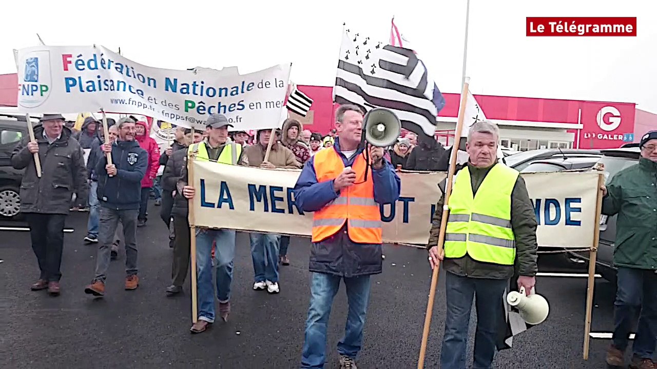 Pêche au bar interdite. Près de 650 manifestants à Morlaix