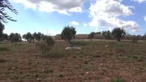 TSK ve Öso, Afrin İlçe Merkezine Bağlı Kurt Farmez Köyünü Teröristlerden Temizledi