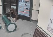 Man Goes to Great Lengths to Steal Gumball Machine From Sacramento Animal Shelter