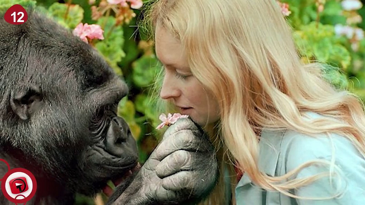 14 Unbelievable Animals Who Adopted Other Animals