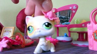 Littlest Pet Shop: My Vampire Years (Part 5: Aurora)