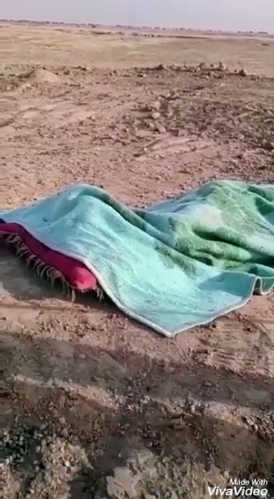 unique under blanket