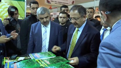 Bakan Özhaseki şampiyon horozu elleriyle besledi