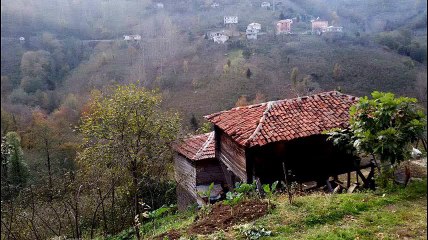 Vakfıkebir Çamlık Köyü