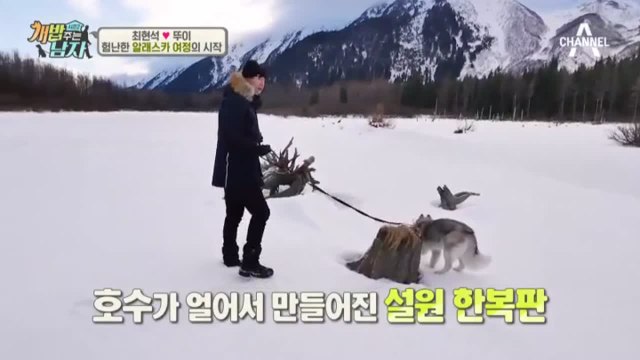 최현석x뚜이, 알래스카 설원 질주★ 뚜이 신이 났구나~♪♬