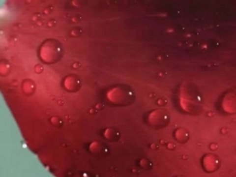 Jeon Ji Hyun - Asience (CM)