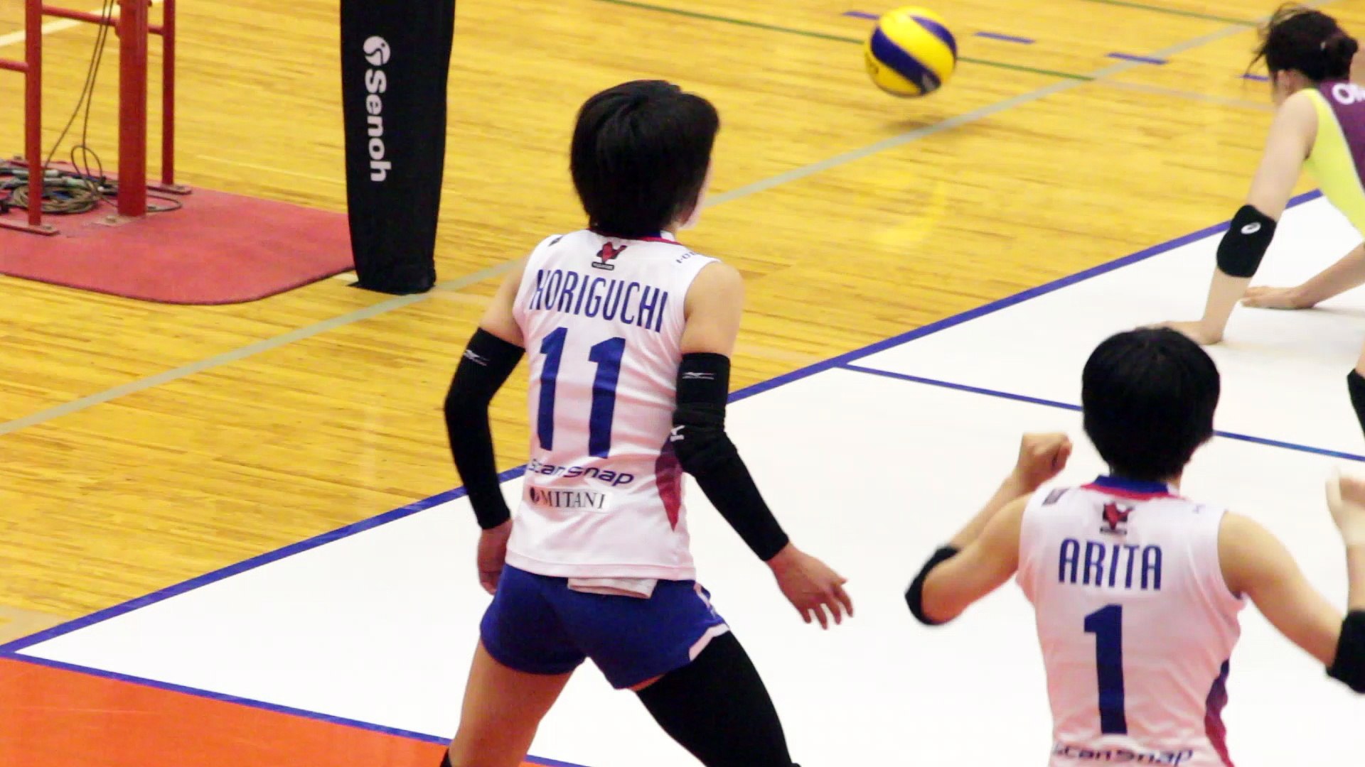 堀口あやか選手 Ayaka Horiguchi Pfuブルーキャッツ 17v サマーリーグ女子 17 7 8 9ひたちなか市総合運動公園総合体育館 動画 Dailymotion