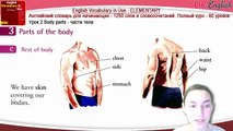 Тема 3 Parts of the Body - Части тела на английском. Английский видео словарь для начинающих