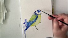 Watercolor practice: Song Bird