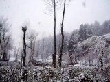 Kashmir Trip - Pahalgam