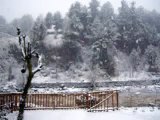 Pahalgam, Kashmir | Mini Switzerland of India