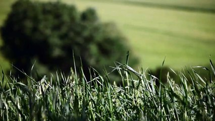 A vendre - Appartement - LA GARDE (83130) - 2 pièces - 59m²