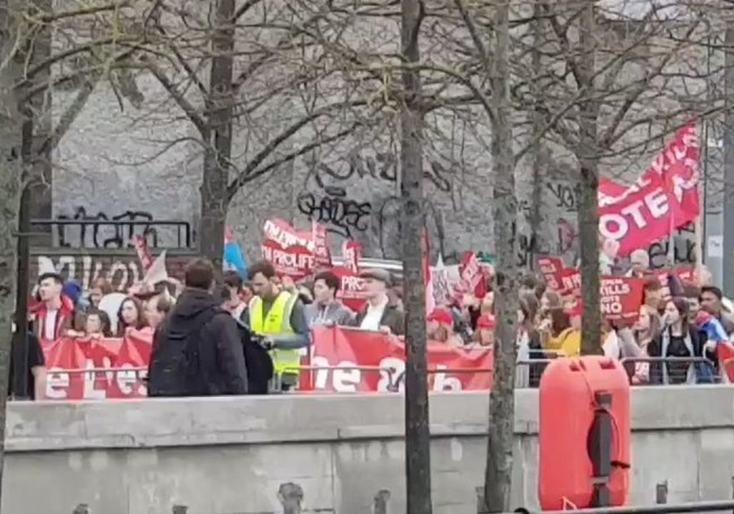 Large Anti-Abortion Rally Held in Dublin Ahead of Referendum