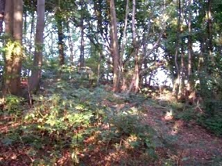 Chute en vélo à Fontenay