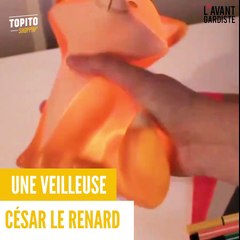 César, le plus mim's des renards. Dispo ici : http://bit.ly/2ws76GDvia Topito Shopping