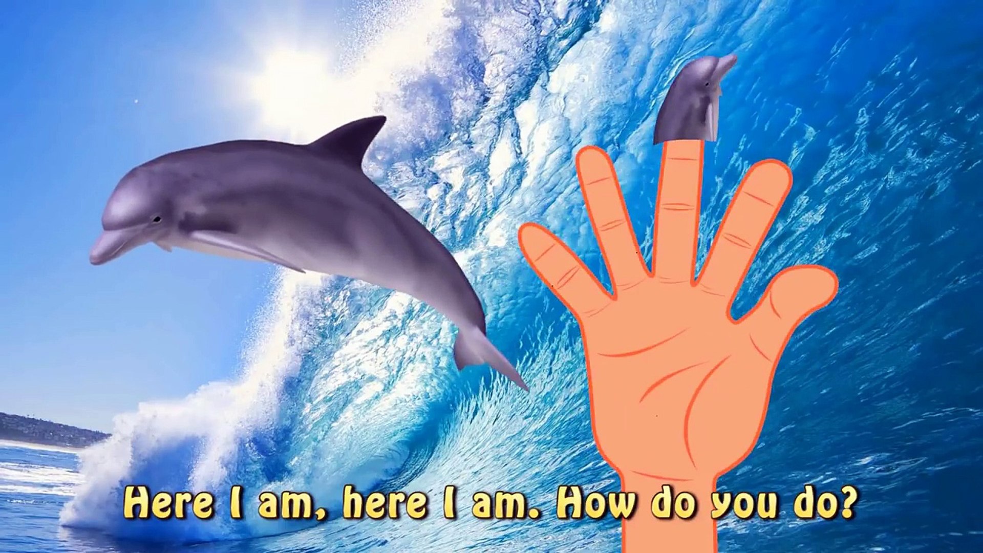 Finger Family Sea Animal Nursery Rhymes | Shark Finger Family | Octopus  Finger Family for children - video Dailymotion