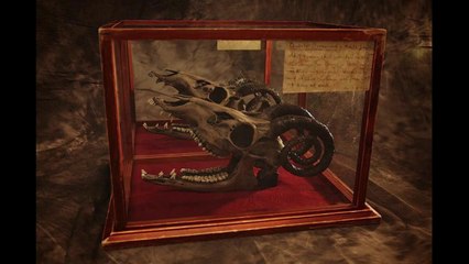 The Jersey Devil: What is it? (Axis Video)