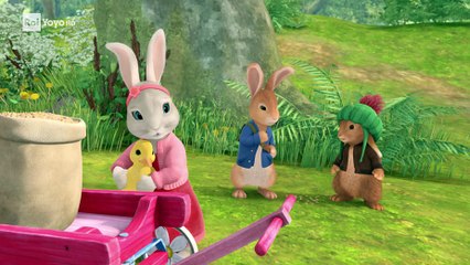 Peter Coniglio 2 - 2x18 - Gli anatroccoli smarriti