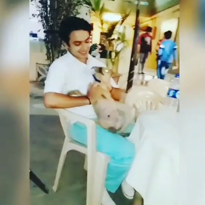 Masti Behind the Camera | Sameer, Naina , Swati and friends enjoy with Pet Dog | YUDKBH | Ashi Singh