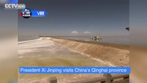Exclusive video: President Xi Jinping visits Qinghai Province, talks about ecosystem protection