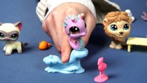 Zwierzęta z całego świata - Littlest Pet Shop - Hasbro - www.MegaDyskont.pl - sklep z zabawkami