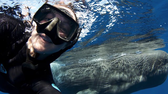 Sea Heroes 2017 - 2018 Recap Video — Sponsored by Seiko