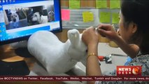 Chinese workshop creates replica of pets as cuddle clones