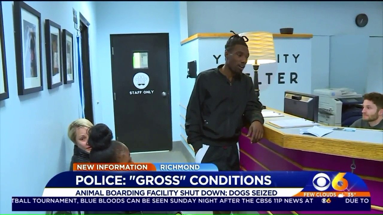 Officers Seize Dogs from `Unfit and Unsafe` Animal Motel; Owner Denies Claims