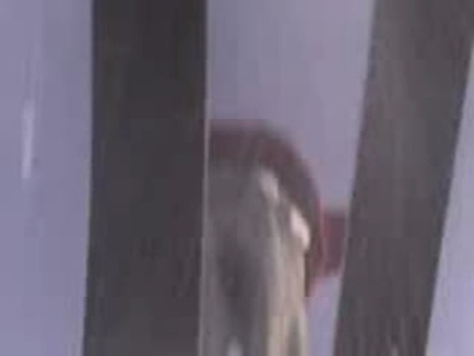 VideoDJ (2)