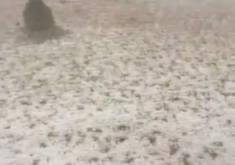 Thunderstorms, Hail Batter Uniontown, Arkansas