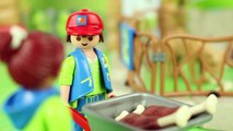 NEW Playmobil Large City ZOO Dad falls into Lion Cage Toys Review PiToys