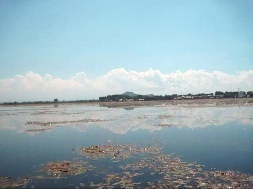 Trips to Srinagar