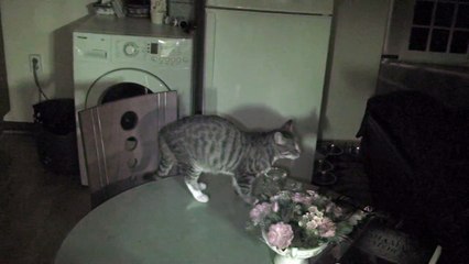 Ghost Caught on Video (Ghost Video) -real ghost video