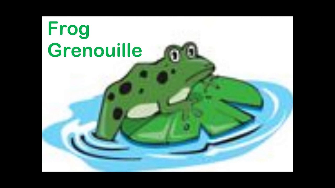 Learning English and French - Lesson on Animals