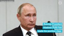 Russian President Vladimir Putin Does Not Care If Russians Meddled With The US Elections