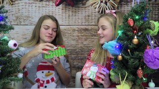 Christmas Tree Switch Up Challenge ~ Jacy and Kacy