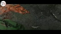 Thackeray official Trailer (2019)