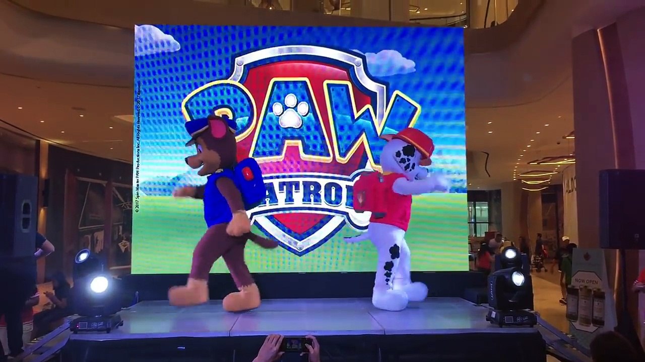 Paw Patrol