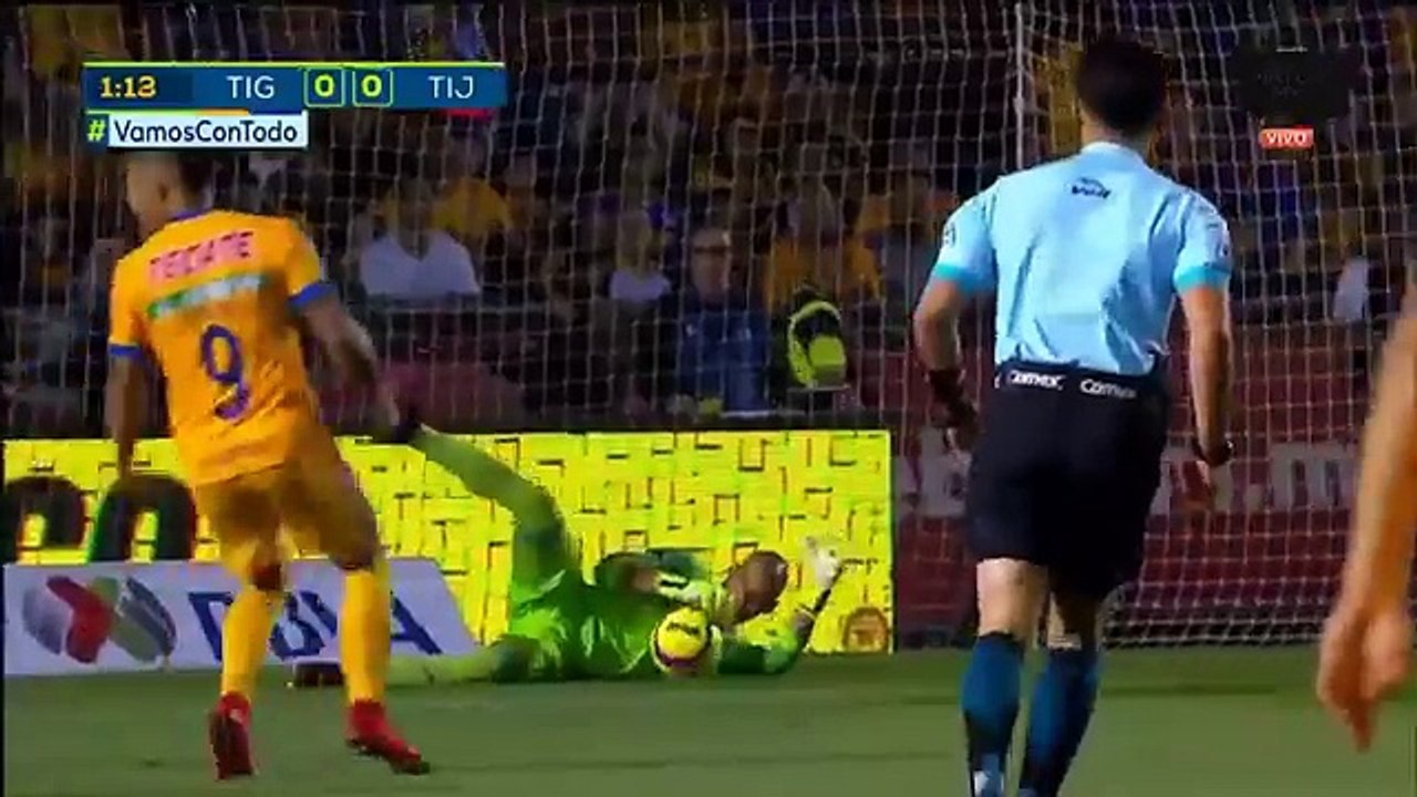 Tigres vs Tijuana 1-0 Goal & Highlights
