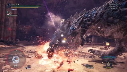 Monster Hunter: World-Brain Damage Causes Death