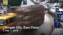 Truck loaded with pigs smashes into parked vehicles
