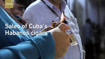 Cuban cigar sales hit record levels as China demand surges