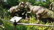 HEBOH!! PETUALANGAN DINOSAURUS | TAMAN LEGENDA TMII