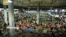 One of Asia’s biggest flower markets in bloom in Kunming, Yunnan Province