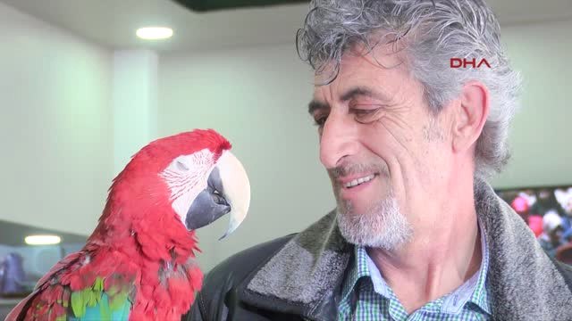 Kocaeli Papağan Paşa'ya Doğum Günü