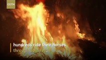 Horses gallop through bonfires at Spanish festival