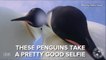 This is what happens when you leave your camera with a penguin